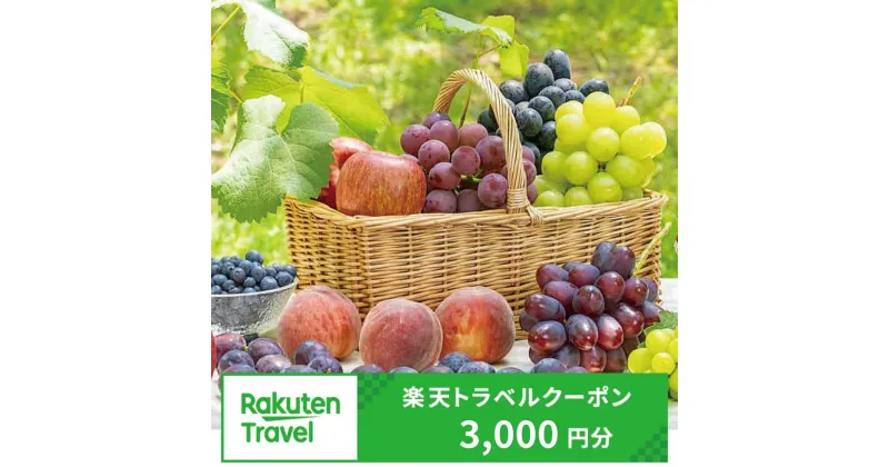 【ふるさと納税】長野県須坂市の対象施設で使える楽天トラベルクーポン3,000円分 旅行 観光 宿泊 ホテル 旅館 チケット（クラウドファンディング対象）