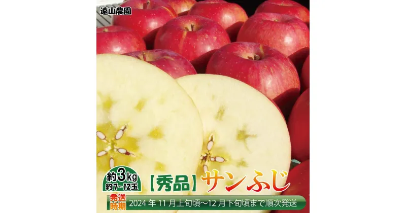 【ふるさと納税】【秀品】サンふじ 約3kg（約7～12玉）長野県産りんご《遠山農園》■2024年発送■※11月上旬頃～12月下旬頃まで順次発送予定 フルーツ 果物 りんご リンゴ 林檎 秀品