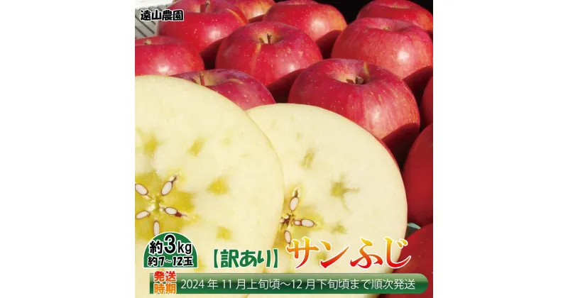 【ふるさと納税】【訳あり品】サンふじ 約3kg（約7～12玉）長野県産りんご《遠山農園》■2024年発送■※11月上旬頃～12月下旬頃まで順次発送予定 フルーツ 果物 りんご リンゴ 林檎 訳あり 家庭用