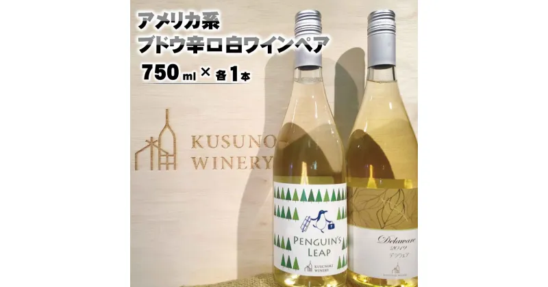 【ふるさと納税】アメリカ系ブドウ辛口白ワインペア（ペンギンズリープ＆デラウェア）750ml×各1本《楠わいなりー》 ワイン お酒 洋酒 ぶどう 葡萄 ブドウ