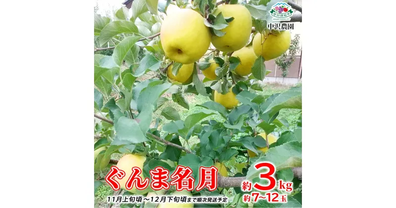 【ふるさと納税】ぐんま名月 約3kg (約7～12玉) 《中沢農園》■2024年発送■※11月上旬頃～12月下旬頃まで順次発送予定 フルーツ 果物 りんご リンゴ 林檎