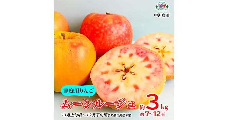 【ふるさと納税】【家庭用りんご】ムーンルージュ 約3kg (約7～12玉) 《中沢農園》■2024年発送■※11月上旬頃～12月下旬頃まで順次発送予定 フルーツ 果物 りんご リンゴ 林檎