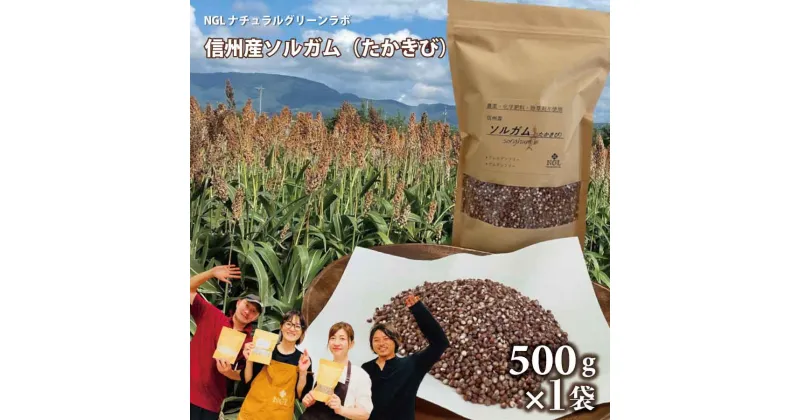 【ふるさと納税】信州産 ソルガム(たかきび) 500g×1袋《NGLナチュラルグリーンラボ》無添加 グルテンフリー アレルゲンフリー