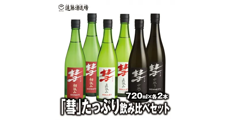 【ふるさと納税】「彗」たっぷり飲み比べセット 720ml×各2本【6本セット】【短冊のし対応】《株式会社遠藤酒造場》 日本酒 お酒