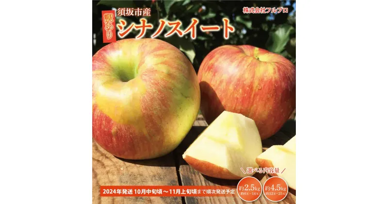 【ふるさと納税】【内容量が選択可能】訳あり シナノスイート 約2.5kg(約6～14玉) 約4.5kg(約12～25玉) 須坂市産《株式会社フルプロ》■2024年発送■※10月中旬頃～11月上旬頃まで順次発送予定 長野県 長野 須坂 信州 林檎 りんご わけあり 家庭用 果物 くだもの フルーツ 傷