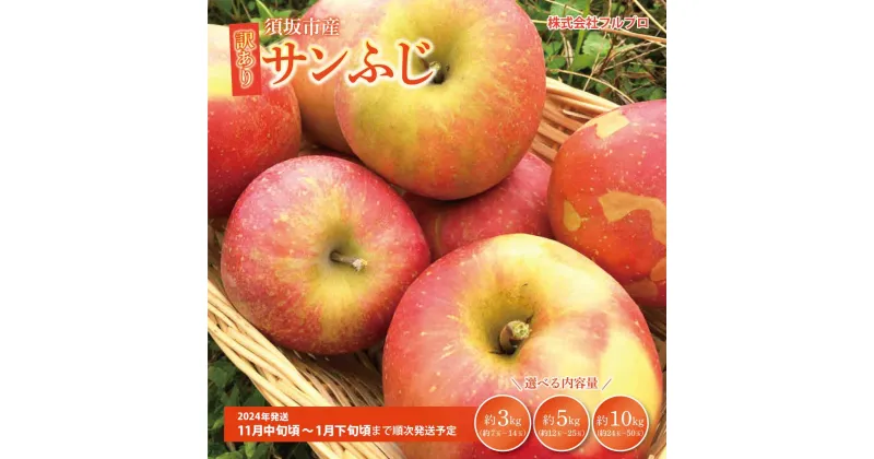 【ふるさと納税】【内容量が選択可能】訳あり サンふじ 約3kg(約7～14玉) 約5kg(約12～25玉) 約10kg(約24～50玉) 須坂市産《株式会社フルプロ》■2024年～2025年発送■※11月中旬頃～1月下旬頃まで順次発送予定 長野県 長野 須坂 信州 林檎 りんご わけあり 家庭用 果物