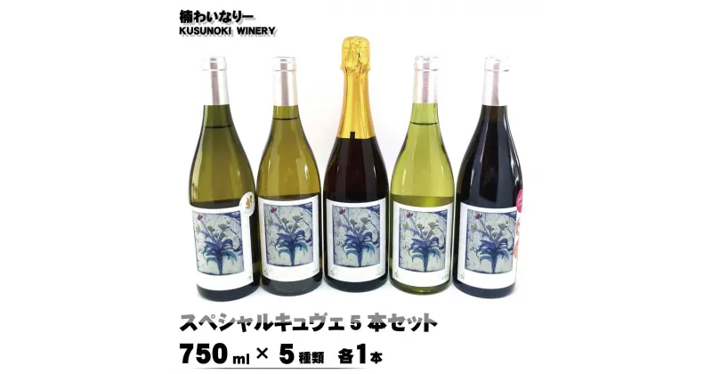 【ふるさと納税】スペシャルキュヴェ5本セット（750ml×5種類 各1本）《楠わいなりー》ワイン お酒 洋酒 ぶどう 葡萄 ブドウ