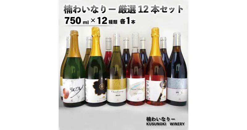 【ふるさと納税】楠わいなりー厳選12本セット (750ml×12種類 各1本) 《楠わいなりー》飲み比べ ワイン お酒 洋酒 ぶどう 葡萄 ブドウ