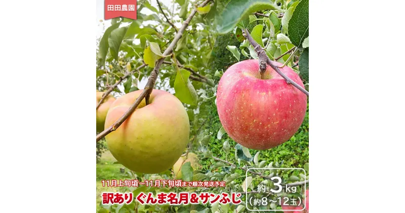 【ふるさと納税】訳あり ぐんま名月＆サンふじ 約3kg（約8～12玉）《田田農園》■2024年発送■※11月上旬頃～11月下旬頃まで順次発送予定 果物 フルーツ 林檎 りんご リンゴ 訳あり