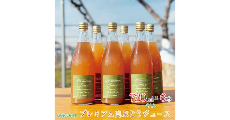 【ふるさと納税】プレミアム白ぶどうジュース（720ml×6本）《佐藤果樹園》 飲料類 果汁飲料 ぶどう ブドウジュース