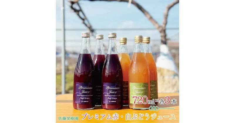 【ふるさと納税】プレミアム赤・白ぶどうジュース（720ml×各3本 計6本）《佐藤果樹園》 飲料類 果汁飲料 ぶどう ブドウジュース