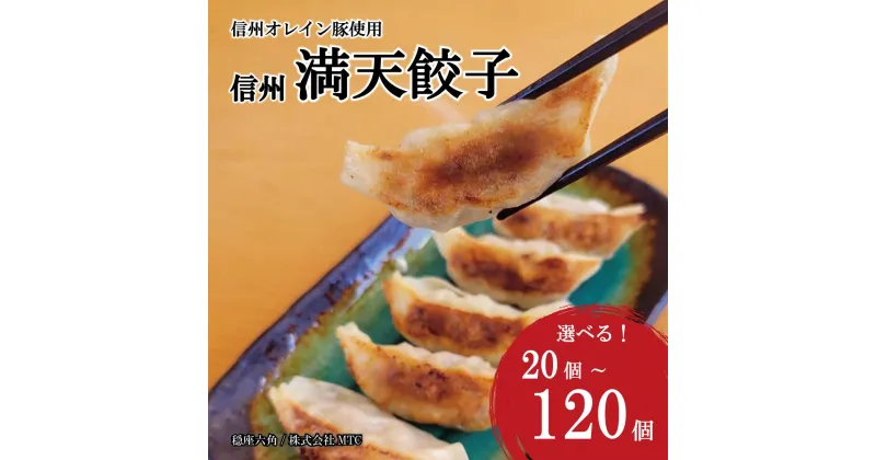 【ふるさと納税】【選べる内容量】信州満天餃子 20個、40個、60個、80個、100個、120個《穏座六角/株式会社MTC》 惣菜 冷凍 肉 豚肉 餃子 ギョウザ