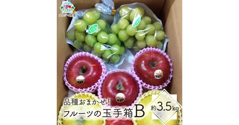 【ふるさと納税】【品種おまかせ！】フルーツの玉手箱B 食べ比べ 約3.5kg《ナカジマ農園》 ■2024年発送■※10月中旬頃～11月上旬頃まで順次発送予定　果物 フルーツ りんご ぶどう シャインマスカット 食べ比べ