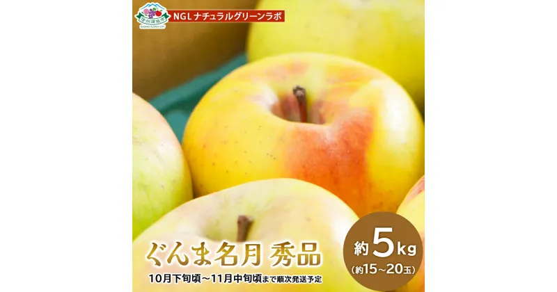 【ふるさと納税】ぐんま名月 秀品 約5kg (約15～20玉) 《NGLナチュラルグリーンラボ》■2024年発送■※10月下旬頃～11月中旬頃まで順次発送予定 果物 フルーツ 林檎 りんご リンゴ