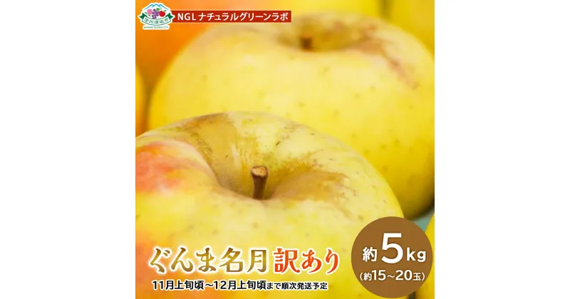 【ふるさと納税】ぐんま名月 訳あり 約5kg (約15～20玉) 《NGLナチュラルグリーンラボ》■2024年発送■※10月下旬頃～11月中旬頃まで順次発送予定 果物 フルーツ 林檎 りんご リンゴ 訳あり