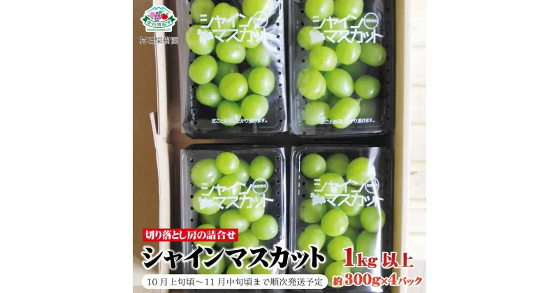 【ふるさと納税】シャインマスカット 切り落とし房の詰め合わせ 1kg以上(約300g×4パック)《村石果樹園》■2024年発送■※10月上旬頃～11月中旬頃まで順次発送予定 フルーツ 果物 ブドウ ぶどう シャインマスカット