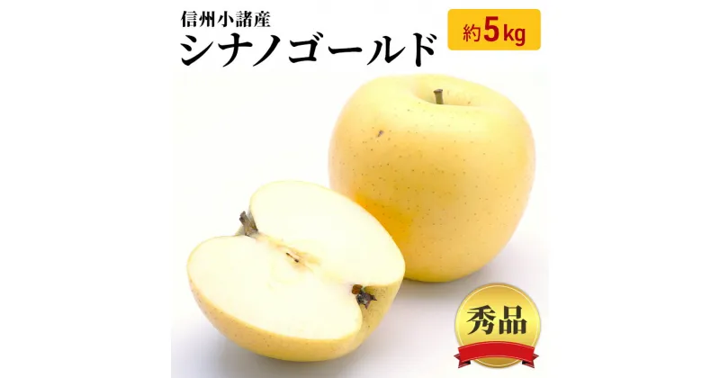 【ふるさと納税】信州小諸産 シナノゴールド 秀品 約5kg 長野県産 果物類 林檎 りんご リンゴ　果物類・林檎・りんご・リンゴ　お届け：2024年10月下旬～11月下旬