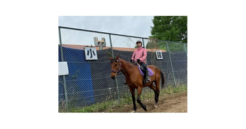 【ふるさと納税】4級乗馬ライセンス取得コース　体験チケット・4級乗馬ライセンス取得・乗馬