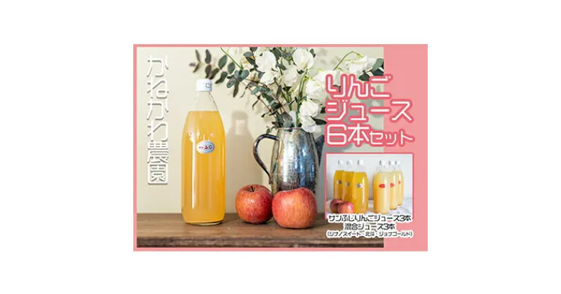 【ふるさと納税】りんごジュース6本セット　 飲料 果汁飲料 フルーツジュース 飲み物 ドリンク 100％りんごジュース サンふじ シナノスイート 北斗 ジョナゴールド ブレンド