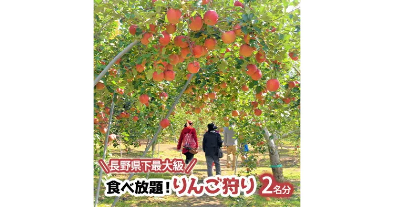 【ふるさと納税】長野県下最大級 りんご狩り体験 りんご狩り発祥園 体験チケット 環境 優しい 安心 安全 こだわり 低農薬 有機肥料 循環型 定番 オリジナル 新品種　　 体験チケット 環境 優しい 安心 安全 こだわり 低農薬 有機肥料 循環型 定番 オリジナル 新品種