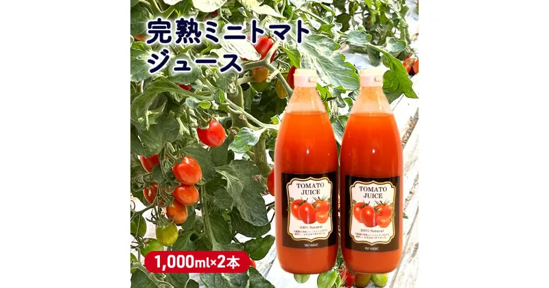 【ふるさと納税】完熟ミニトマトジュース 1,000ml×2本　 果汁飲料 野菜飲料 ジュース 美味しい 苦手 子供 飲める 癖 すっきり 栄養 健康 セット