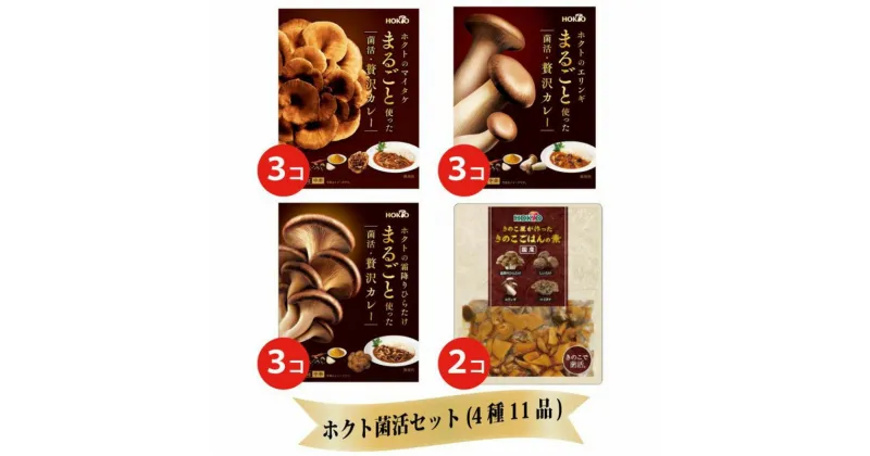 【ふるさと納税】ホクト菌活カレー きのこごはんセット（4種11品）　小諸市　お届け：寄附入金確認後、1ヶ月以内に発送いたします