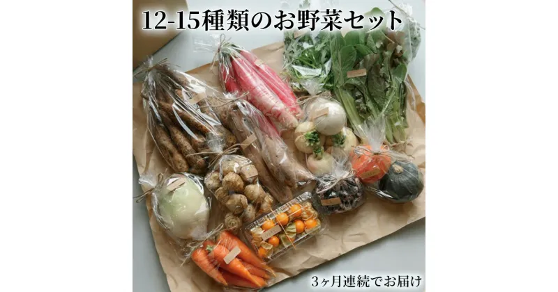 【ふるさと納税】野菜の定期便 てのひら小諸 12～15種類 3ヶ月連続お届け　定期便・小諸市　お届け：寄附金のご入金確認後の翌月から発送いたします