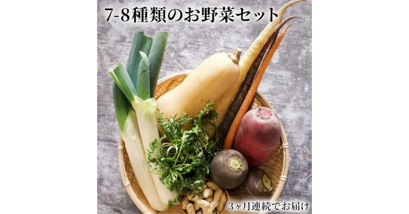 【ふるさと納税】野菜の定期便 てのひら小諸　7～8種類 3ヶ月連続お届け　定期便・小諸市　お届け：寄附金のご入金確認後の翌月から発送いたします