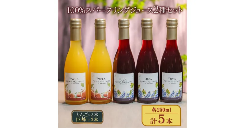 【ふるさと納税】100%スパークリングジュース2種セット（りんご×2本、巨峰×3本）各250ml 計5本 ストレート 炭酸飲料 ノンアルコール