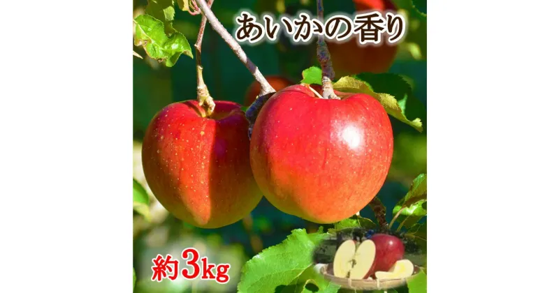 【ふるさと納税】【010-11】幻のりんごあいかの香り3キロ　信州が生んだ希少なりんごです（りんご・リンゴ・林檎）長野県　伊那市　あいかの香り　3キロ　3kg　与古美