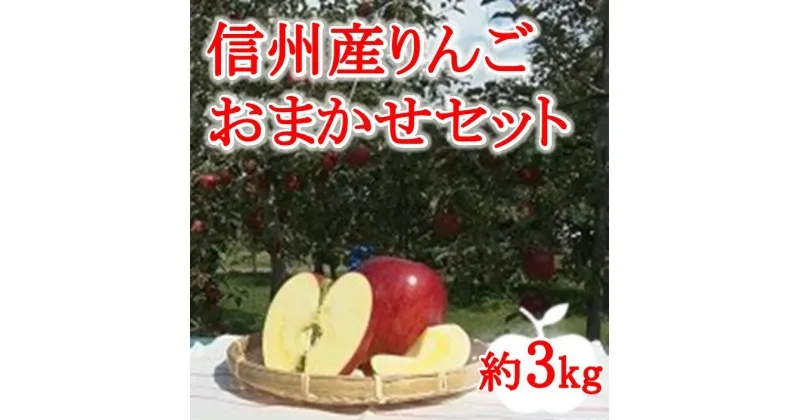 【ふるさと納税】【009-15】信州産りんごおまかせ3キロ（りんご・リンゴ・林檎）　長野県　伊那市　ふるさと納税　3キロ　3kg　与古美