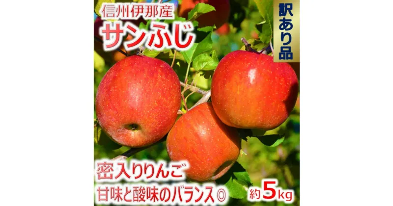 【ふるさと納税】【009-39】信州のサンふじ　訳あり　5キロ！（りんご・リンゴ・林檎）長野県　伊那市　与古美