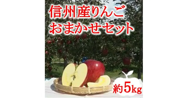 【ふるさと納税】【012-04】信州産りんごおまかせ5キロ（りんご・リンゴ・林檎）　長野県　伊那市　ふるさと納税　与古美