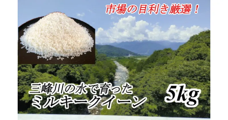 【ふるさと納税】【014-37】市場の目利きが選ぶお米　5kg　ミルキークイーン　長野県　伊那市　信州産