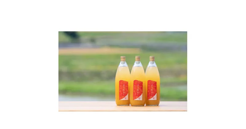 【ふるさと納税】信州産「完熟サンふじりんご」すりおろしジュース（1L×3本）　飲料類・果汁飲料・りんご・ジュース・アップルジュース