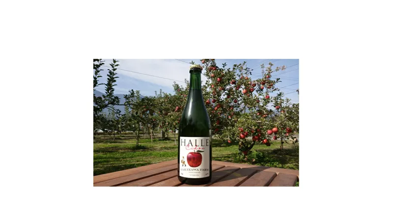 【ふるさと納税】【信州産りんご】辛口シードル「HALLE」（750ml×1本）　お酒・辛口シードル・シードル・アルコール・リンゴ・りんご・サンふじ