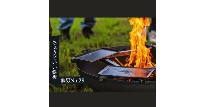 【ふるさと納税】【アウトドア必見】極厚鉄板　「鉄男No.29」　雑貨・日用品・アウトドア・鉄板・極厚鉄板・ステンレス製