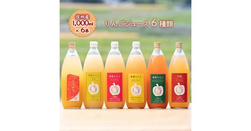 【ふるさと納税】【信州産】りんごの個性にびっくり！ジュース6種セット（1,000ml×6本）　 果実飲料 ミックスジュース りんごジュース 飲み比べ サンつがる サンふじ 王林 ゆず 人参