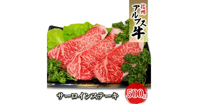 【ふるさと納税】【信州アルプス牛】サーロインステーキ（500g）　 牛肉 お肉 国産 国産牛 日本産 食材 グルメ 長野県産 風味豊か 柔らかい ジューシー