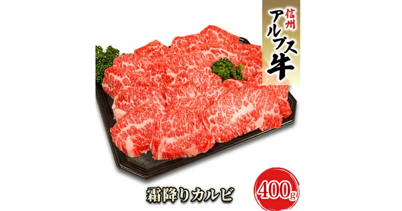 【ふるさと納税】【信州アルプス牛】霜降りカルビ（400g）　 牛肉 お肉 国産 国産牛 日本産 食材 グルメ 長野県産 風味豊か 柔らかい ジューシー