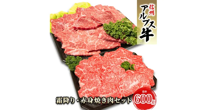 【ふるさと納税】【信州アルプス牛】霜降り・赤身焼き肉セット（計600g）　 牛肉 お肉 国産 国産牛 日本産 食材 グルメ 長野県産 風味豊か 柔らかい ジューシー