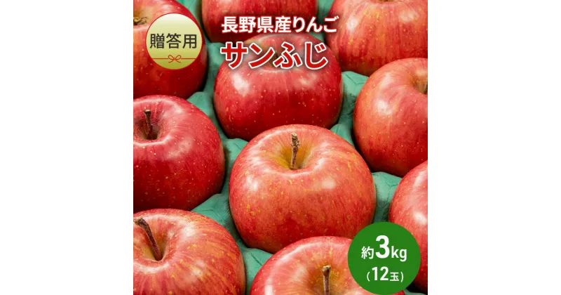 【ふるさと納税】りんご 先行予約 長野 贈答用 リンゴ サンふじ 約3kg （12玉） 産地直送 ギフト プレゼント 贈答 贈答品 贈り物 フルーツ 果物 デザート サンフジ 秋 旬 信州 長野県 長野県産 2024 2024年 予約 令和6年度発送　お届け：2024年11月上旬～12月下旬