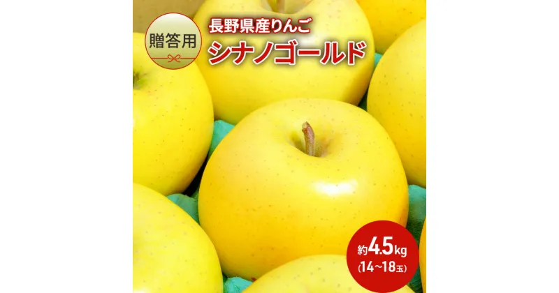 【ふるさと納税】りんご 先行予約 長野 贈答用 リンゴ シナノゴールド 約4.5kg（14玉～18玉） 産地直送 ギフト プレゼント 贈答 贈答品 贈り物 フルーツ 果物 デザート おやつ 秋 旬 信州 長野県 2024 2024年 予約 令和6年度発送　お届け：2024年11月上旬～12月上旬