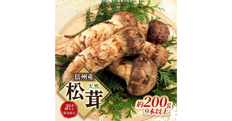 【ふるさと納税】【訳あり】数量限定/信州産「天然松茸」（約200g前後）　 駒ヶ根市 　お届け：2024年9月中旬～10月下旬