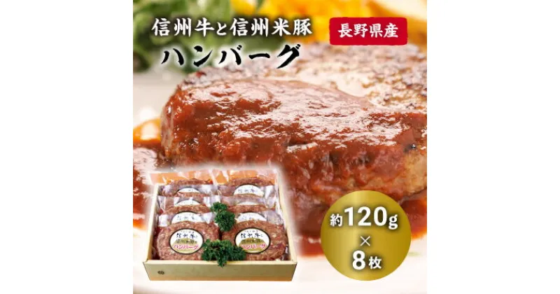 【ふるさと納税】 ハンバーグ ( 約 120g × 8枚 ) 信州牛 信州米豚 冷凍 高級 ギフト プレゼント 贈り物 送料無料 【配送不可地域：離島】【1291109】