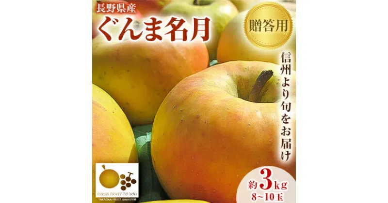 【ふるさと納税】「産地より信州中野の旬をお届け」 長野県産ぐんま名月　贈答用　約3kg_ りんご 林檎 リンゴ 名月 ぐんま名月 フルーツ 果物 ふるーつ くだもの 国産 旬 ギフト 贈答 産地直送 信州 長野 人気 品種 送料無料 産直 【1305054】