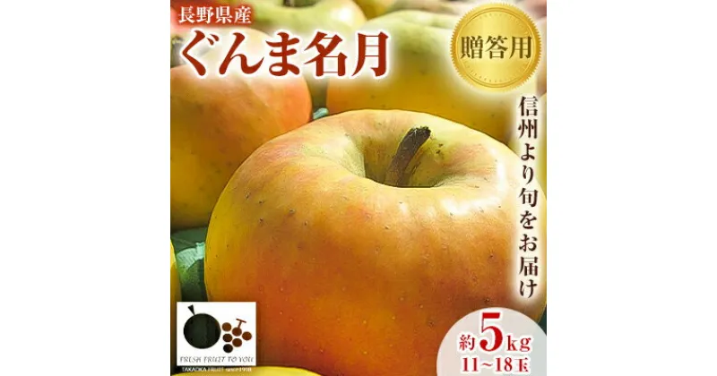 【ふるさと納税】「産地より信州中野の旬をお届け」 長野県産ぐんま名月　贈答用　約5kg_ りんご 林檎 リンゴ 名月 ぐんま名月 フルーツ 果物 ふるーつ くだもの 国産 旬 ギフト 贈答 産地直送 信州 長野 人気 品種 送料無料 産直 【1305055】