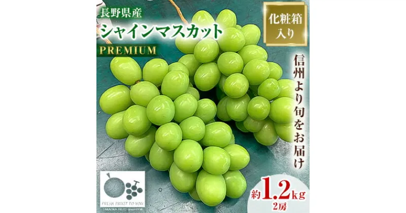 【ふるさと納税】「産地より信州中野の旬をお届け」 シャインマスカット　PREMIUM　約1.2kg　【配送不可地域：離島】【1311086】