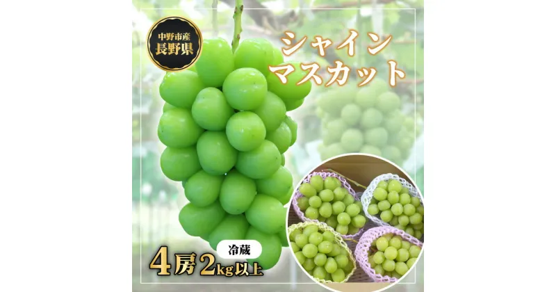 【ふるさと納税】長野県中野市産　冬でも食べれる　シャインマスカット4房(2.0kg以上)_ マスカット ぶどう ブドウ 葡萄 フルーツ 果物 くだもの 人気 美味しい ふるさと 中野市 ギフト プレゼント 贈り物 【配送不可地域：離島】【1331158】