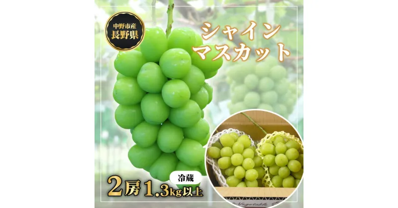 【ふるさと納税】長野県中野市産　冬でも食べれる　シャインマスカット2房(1.3kg以上)_ ぶどう 葡萄 ブドウ シャインマスカット フルーツ 果物 ふるーつ くだもの 国産 旬 産直 長野 人気 品種 送料無料 産地直送 甘い 贈答 ギフト 冷蔵 【配送不可地域：離島】【1331174】